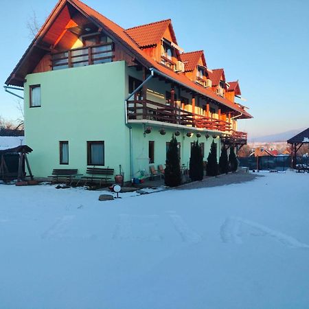 Pensiunea Leia Transfagarasan Cârțișoara Exterior photo