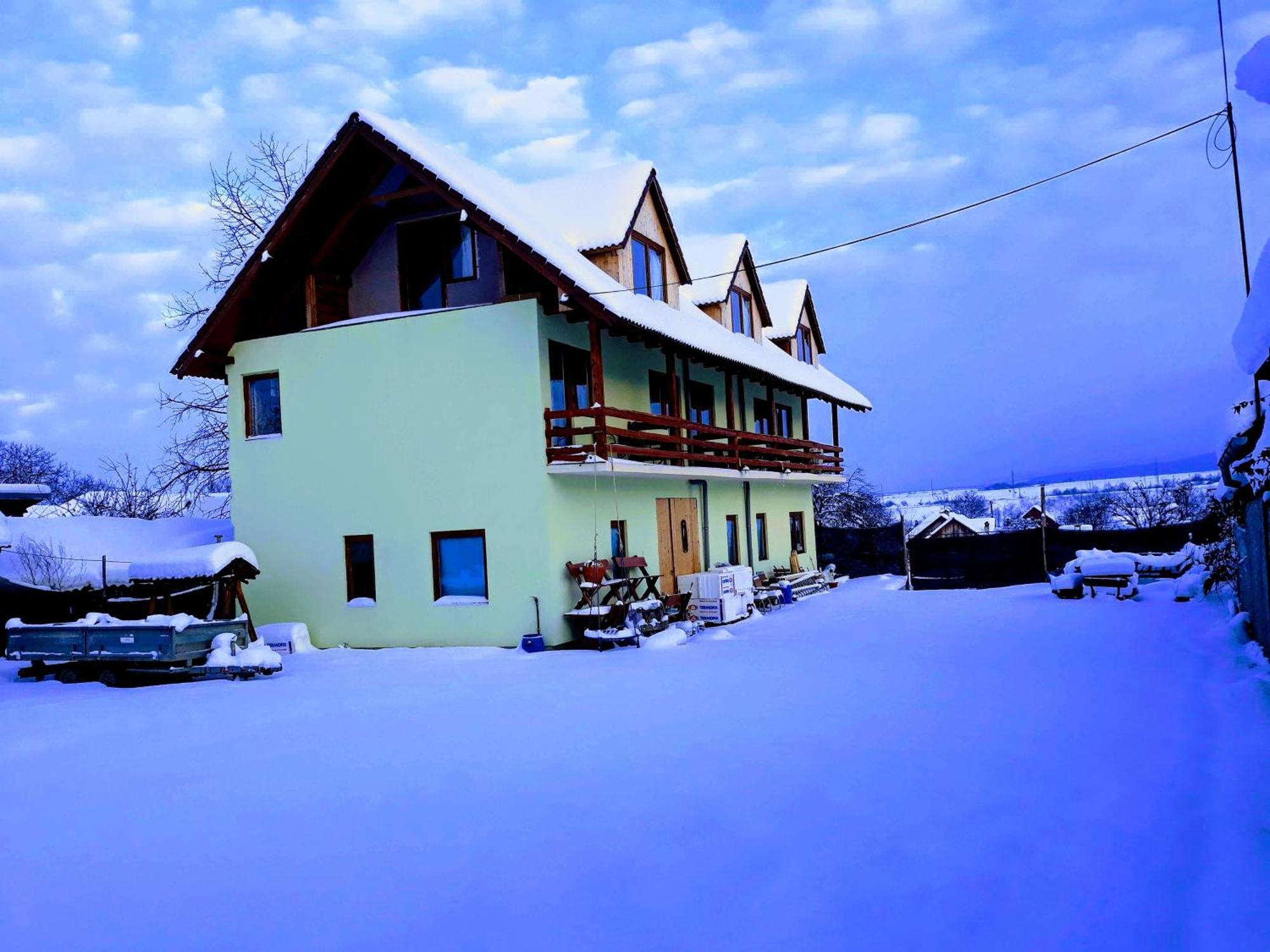 Pensiunea Leia Transfagarasan Cârțișoara Exterior photo