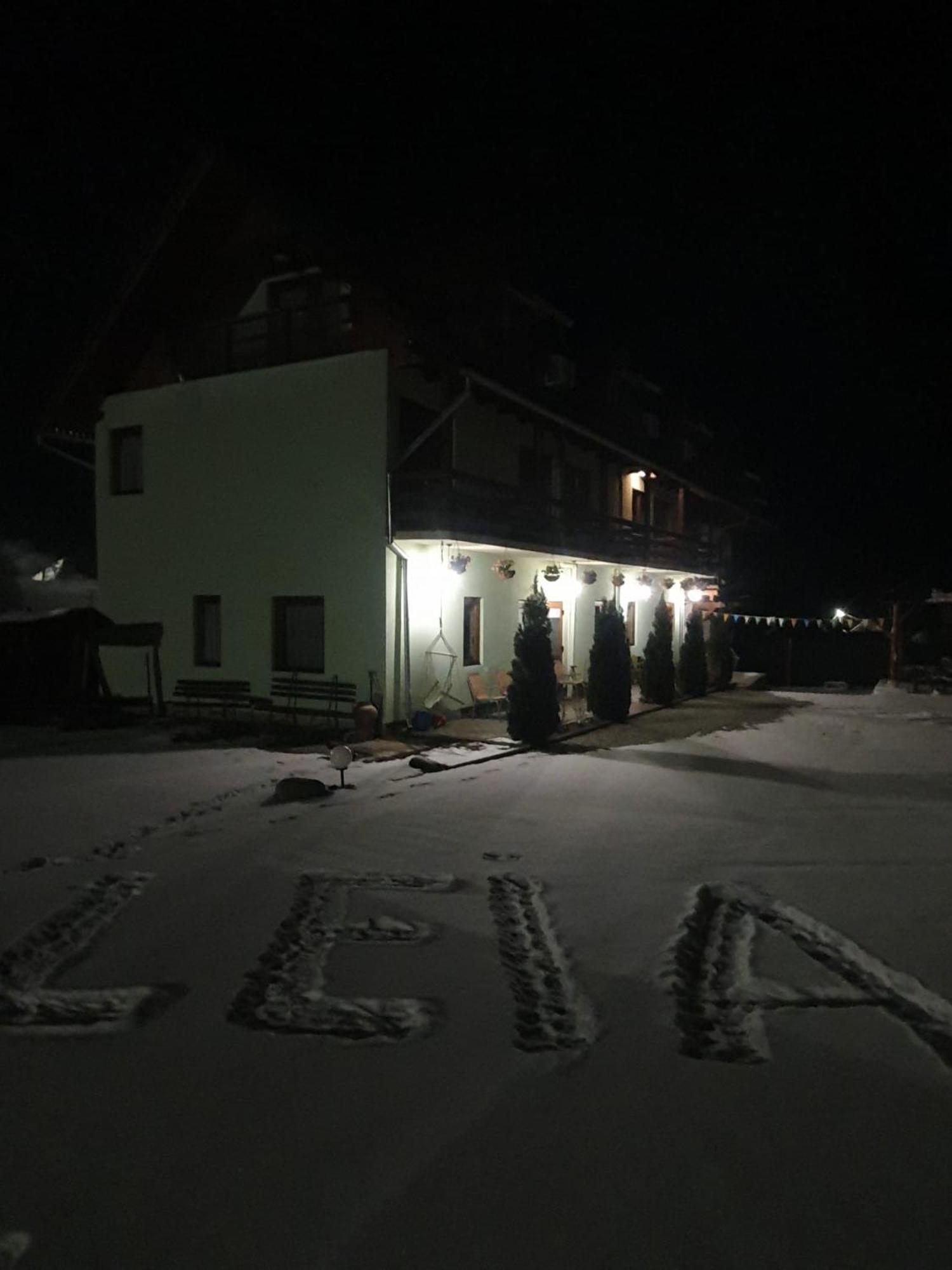 Pensiunea Leia Transfagarasan Cârțișoara Exterior photo